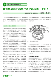 競走馬の消化器系と消化器疾患 その1