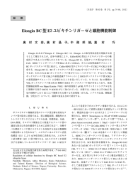 Elongin BC 型 E3ユビキチンリガーゼと細胞機能制御