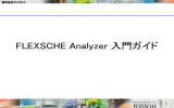 FLEXSCHE Analyzer 入門ガイド (PDFファイル)