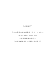 さび事例②` さびの進展の抑制が期待できる・できない 両方の可能性が