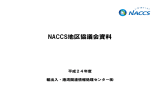 NACCS地区協議会資料 - NACCS（輸出入・港湾関連情報処理センター
