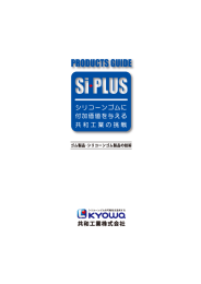 Page 1 PR00||BTSGUD: SI PIUS シリコーンゴムに 付加価値を与える