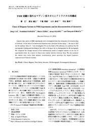 に現れるマグノ ン系カオスとア トラクタの再成