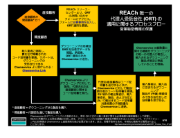 REACh 唯一の 代理人受託会社 (ORT) の 適用に関するプロセスフロー