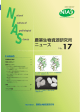 (平成17年6月)〔PDF〕