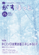 IHコンロは実は省エネじゃない！