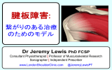 Dr Jeremy Lewis PhD FCSP