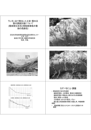 ランタン谷で発生した土砂・雪氷災 害の調査計画について (雪崩発生状況