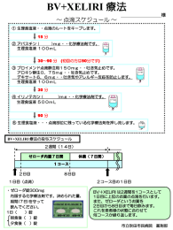 BV+XELIRI 療法