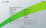 Hitachi Cable Report 2013
