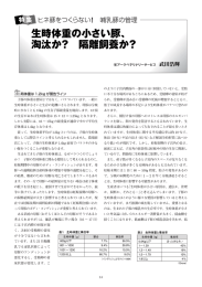 生時体重の小さい豚、 淘汰か？ 隔離飼養か？