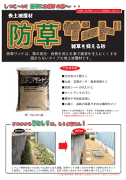 しつこ&sim;い! 雑草にお困りの方へ・・・ しつこ&sim;い! 雑草 雑草にお困りの方