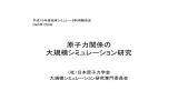 原子力関係の 大規模シミュレーション研究