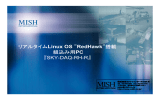 リアルタイムLinux OS ”RedHawk”搭載 組込み用PC 『SKY-DAQ-RH-R』
