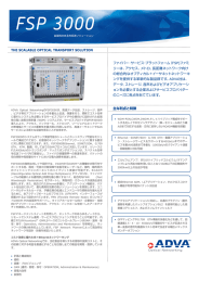 FSP 3000