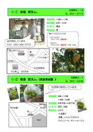 4.日新町・四谷・分梅町・住吉町・本町・南町・矢崎町エリアの