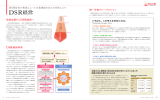 DSR経営 - 第一生命ホールディングス