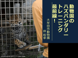 動物園のハズバンダリートレーニング最前線！