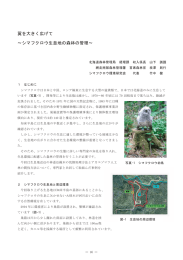 翼を大きく広げて ～シマフクロウ生息地の森林の管理～