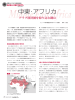 【中東・アフリカ】アラブ経済圏を取り込む鍵は