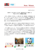 日本ラッド、パズル型CAPTCHAの販売を開始