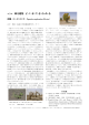 第30巻4号 コトカケヤナギ 山中典和（鳥取大学乾燥