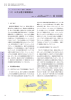 （2）三次元電子顕微鏡法