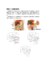 膵頭十二指腸切除術