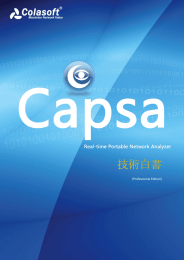 Colasoft Capsa Professional 技術白書