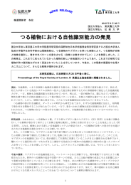 つる植物における自他識別能力の発見