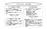 日本の貢献 －TICADプロセスの10年とその成果に立つ今後のアフリカ