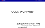 CCM/WGFFの報告