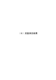 流量測定結果