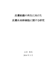 皮膚組織の再生に向けた 皮膚由来幹細胞に関する研究