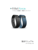 Fitbit Flex User Manual