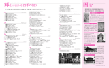 郷土に伝わる四季の祭り 国宝PDF（PDF：1311KB）