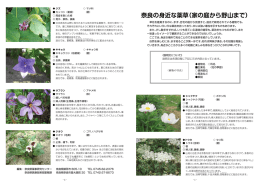 その1 - 奈良県