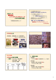 ファイルへ（PDF：768KB）