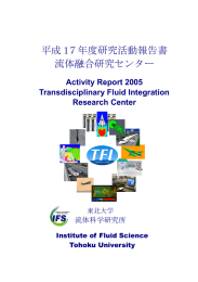 平成17年度成果報告書 - 東北大学 流体科学研究所