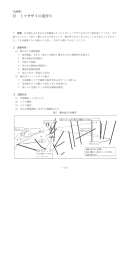 ミソサザイの巣作り