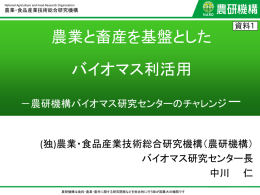 分割版1（PDF：1608KB）