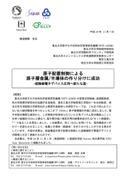 原子配置制御による 原子層金属/半導体の作り分けに成功