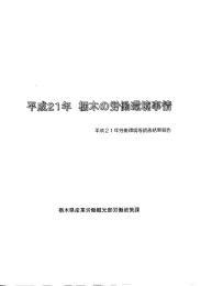 平成21年 栃木の労働環境事情( PDFファイル ,2MB)