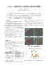 GeoEye-1 画像を用いた森林の分類手法の開発