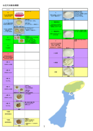 公立穴水総合病院