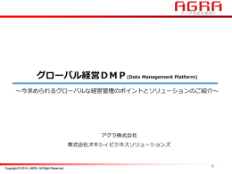 グローバル経営DMP(Data Management Platform)