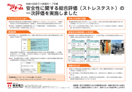 安全性に関する総合評価 (ストレステスト) の