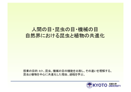 人間の目・昆虫の目・機械の目 自然界における昆虫と植物の共進化