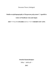 Studies on phylogeography of Sargassum polycystum C. Agardh in