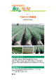 干拓のネギ畑風景 [PDFファイル／226KB]